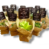 Souvenir Mini Cactus Suculentas Naturales Pack X10 Isiflor