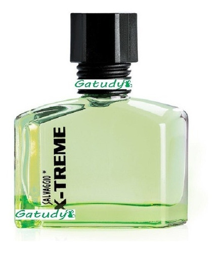 Perfume Salvaggio X-treme De Fuller