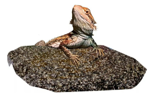 Piedra Calefactora Reptiles Caliente Termica Roca Chica