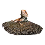 Piedra Calefactora Reptiles Caliente Termica Roca Chica