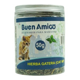 Hierba Gatera Seca Catnip 50g Hojas De Catnip - Buen Amigo 