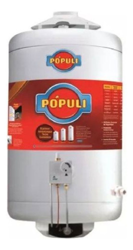 Termotanque Populi 45 Lts Gas Natural Conexión Superior 