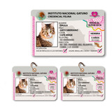 Kit Credencial Para Mascotas Tipo Ine, Ife, Gato, Con Envío