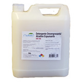 Detergente Industrial Lavado Equipos 5 Lts 