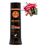 Haskell Encorpa Cabelo Shampoo 300ml + Nf