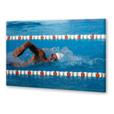 Cuadro 30x45cm Natacion Deporte Acuatico Pileta Piscina M3