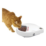 Dispensador Comida Automatico Gatos Perros Pequeños