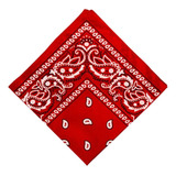 Novedad Cowboy Bandana Paisley Bufanda Para Proteger Para La