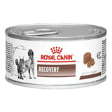 Royal Canin® Perros Y Gatos Lata Recovery 145grs