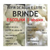 Kefir De Leite E Água + Brinde ( Tag Iogurte )