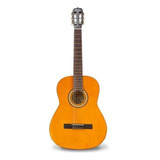 Guitarra Clásica Vizcaya Arcg44 Natural