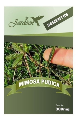 Sementes Orgânicas De Mimosa Pudica - 25 Unidades, 5g