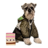 Piloto Impermeable Lluvia Canchero Perro Chico Talles 0a4 *