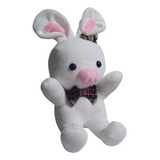 Peluche Cerdo Conejo 50 Cm You're Beautiful Dorama Core