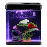 Betta Fish Tank - Kit De Inicio De Acuario Pequeo De 2 Galon