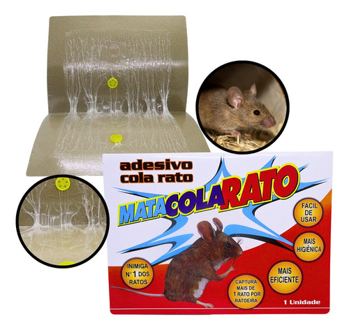 Kit 5 Adesivos Cola Rato Controle De Pragas Fácil Higiene