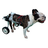 Silla De Ruedas Perros Y Gatos Petwheels - Chico - Stock