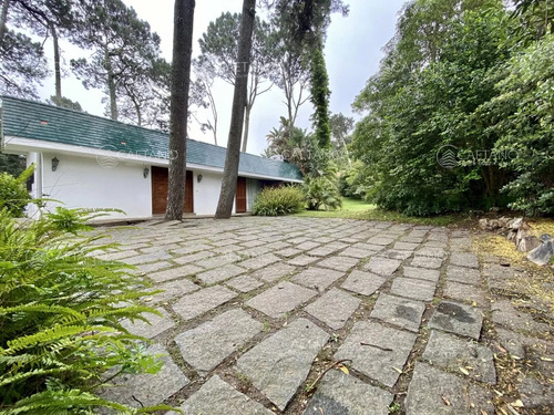 Venta Casa Con Terreno De 6600m2 Por Pedragosa Sierra, Punta Del Este - Imagen 2