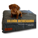 Cama Cucha Antidesgarro Cuzco Para Perro Grande 74x99cm