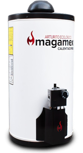 Magamex 38 Lts Automatico Arturito Ecologico Msi Color Blanco Tipo De Gas Glp