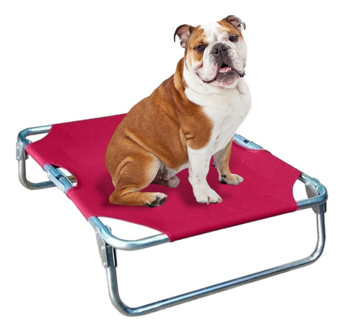 Catre Cama Elevada Plegable Para Mascota Raza M.