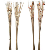 Flores Secas Vara Ramo Disecado Buri Bambú Set X 2 Natural