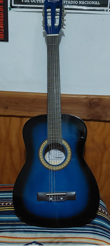 Guitarra Vizcaya Modelo Arcg 34-bb 