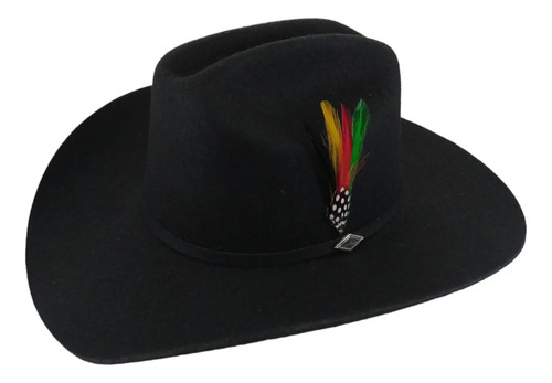 Sombrero Vaquero Texana Estilo Carin León F9 | Envío gratis
