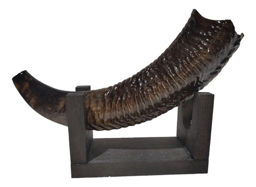 Shofar Kosher Exótico Carnero Africano De 44.7cm Spdf021 