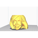 Maceta Suculenta Cristina Kirchner Archivo Stl Impresion 3d 