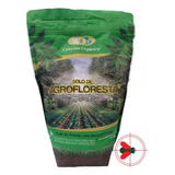 Terra Orgânica Da Floresta Com Cheiro De Mata Virgem 1kg