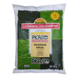 Semillas Cesped Resiembra Ryegrass Anual Le284 X 1kg Picasso