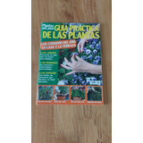 Revista Plantas Y Flores En Casa