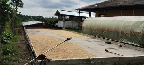 Se Vende Finca En Circasia - Quindío - Imagen 2