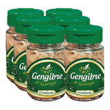 Gengibre Da Natureza Tradicional Cristaliz. 40gr - 6 Frascos