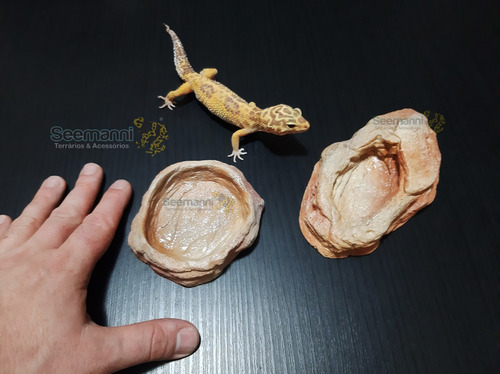 Bebedouro + Comedouro Para Leopard Gecko - Seemanni