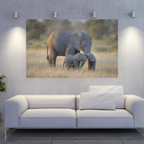 Cuadro Decorativo Elefantes
