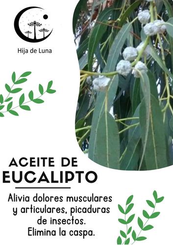 Aceite De Eucalipto Puro Y Natural 50ml