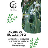 Aceite De Eucalipto Puro Y Natural 50ml