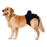 Pantalones Fisiológicos Para Perros: Pañales Sanitarios, Men
