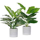 2 Plantas Artificiales En Maceta Para Decoracion En Oficina