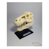Escultura Craneo Tiranosaurio Rex Impresión 3d