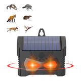 Repelente De Gato Arranhar Solar Para Jardim E Ar Livre T