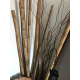 Cañas  Bambú Para Decoración X10
