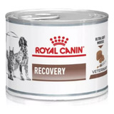 Alimento Royal Canin Gato Perro Recovery  Lata 195g X2 Uni