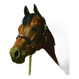 Halter De Cuero Premium 1  Para Caballos