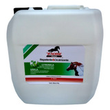  B-horse Shampoo Para Caballo Repelente & Cicatrizante 4l