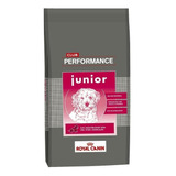 Royal Canin Club Performance Junior 15kg Universal Pets