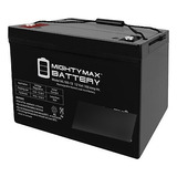 Mighty Max 12v 100ah Sla Agm Compatible Battery For Apc  Eed