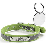 M Jjypet Personalizados Del Perro - Collar Del Gato Collares